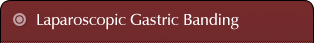 Laparoscopic Gastric Banding, London UK