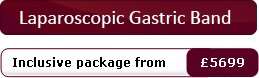 Gastric Band - Standard